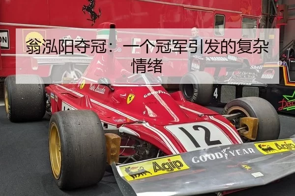 weng-hong-yang-duo-guan-yi-ge-guan-jun-yin-fa-de-fu-za-qing-xu-2-399.jpg